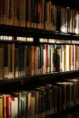 Why model-independent processes — framing, verification, placement, evaluation — outlast the release cycle in a school's AI strategy